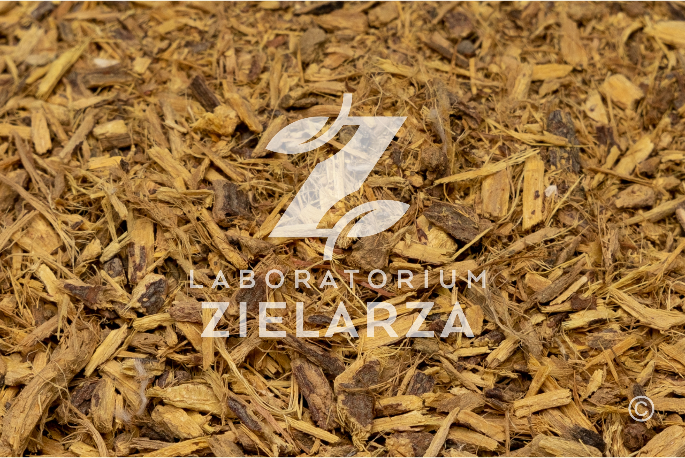 Korzeń lukrecji Korzeń lukrecji