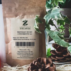 Ekstrakt z pochrzynu 4:1