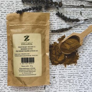 Ekstrakt z morszczynu pęcherzykowatego 4:1